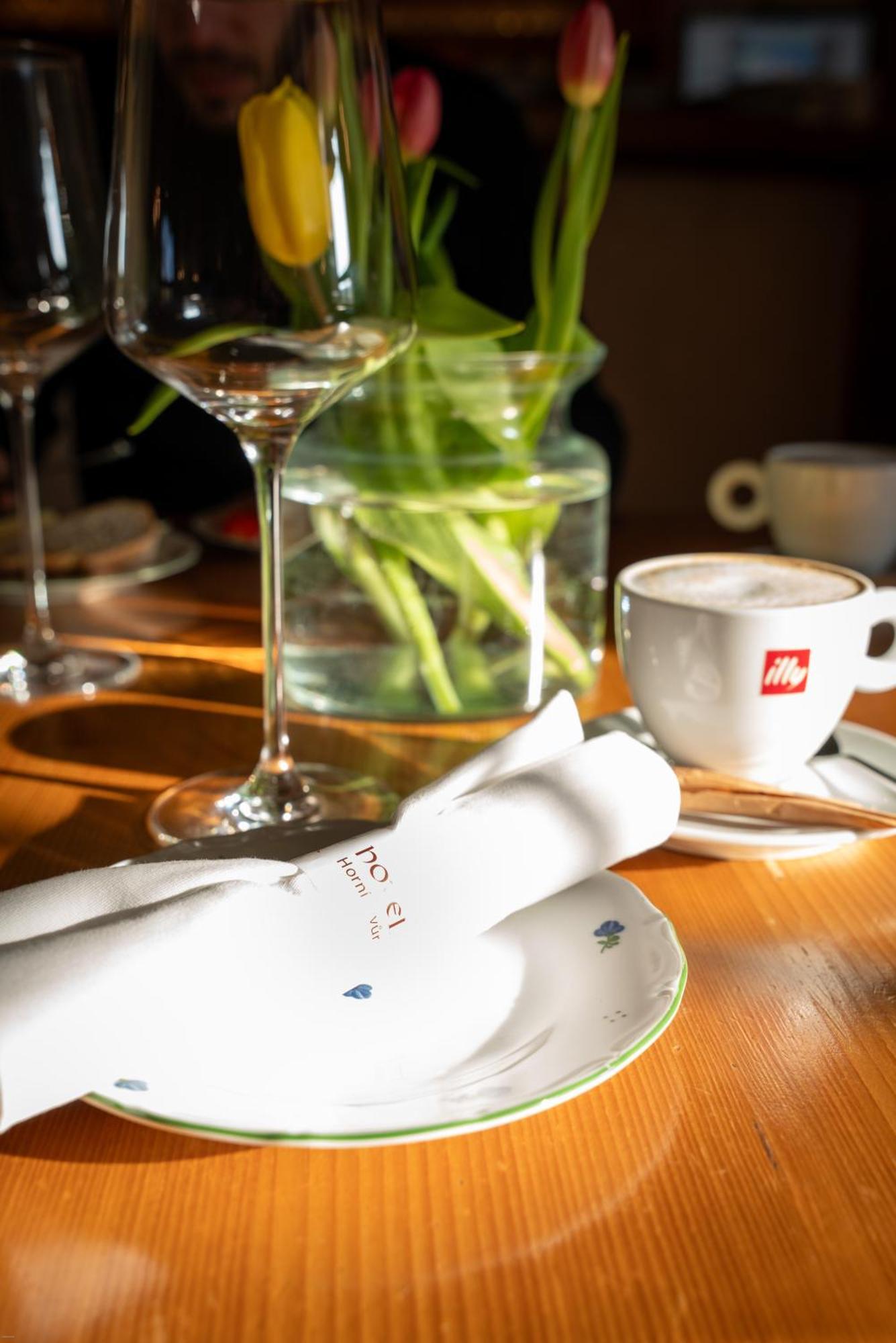 Hotel Horni Dvur Nove Mesto na Morave Esterno foto