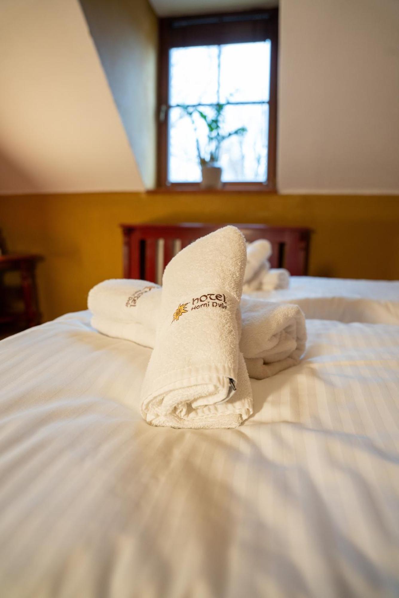Hotel Horni Dvur Nove Mesto na Morave Esterno foto